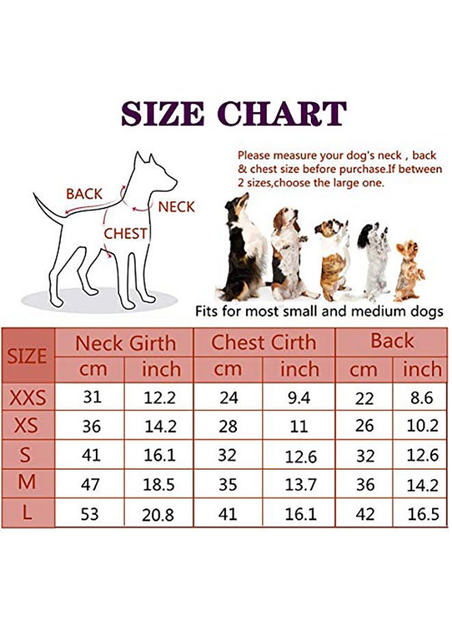 NIBEMINENT British Plaid Dog Winter Coat Red XS - Image 2