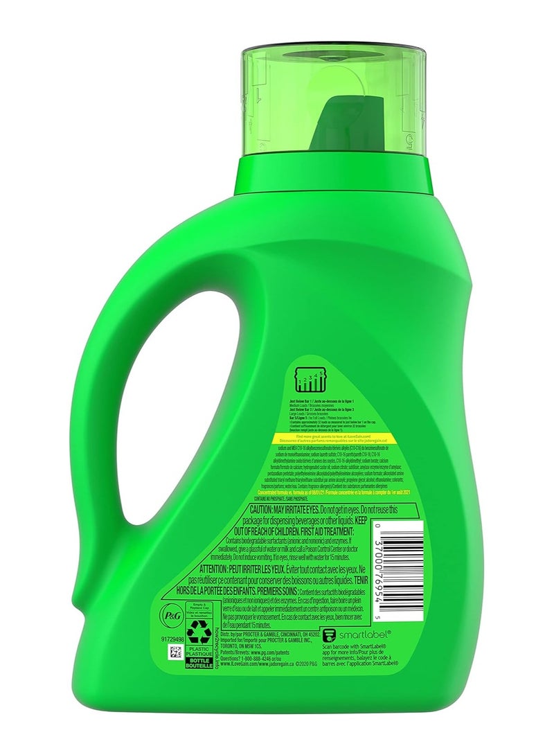 Gain Laundry Detergent Liquid Soap Plus Aroma Boost - Image 2