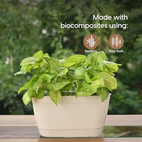 Eha Earth Friendly Eva 11.5 inch Self Watering Pots for Plants | Bamboo Based Plant Pots | Pack of 2 | UV Protected Planters for Home décor Indoor, Outdoor, Balcony & Garden Flower pots | Sand Castle - Image 3