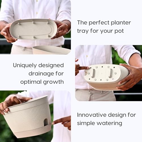 Eha Earth Friendly Eva 11.5 inch Self Watering Pots for Plants | Bamboo Based Plant Pots | Pack of 2 | UV Protected Planters for Home décor Indoor, Outdoor, Balcony & Garden Flower pots | Sand Castle - Image 5