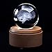 XINDAM 3D Human Brain Anatomical Model PaperweightLaser Etched in Crystal Glass Ball Science Gift Included LED Base - Image 3