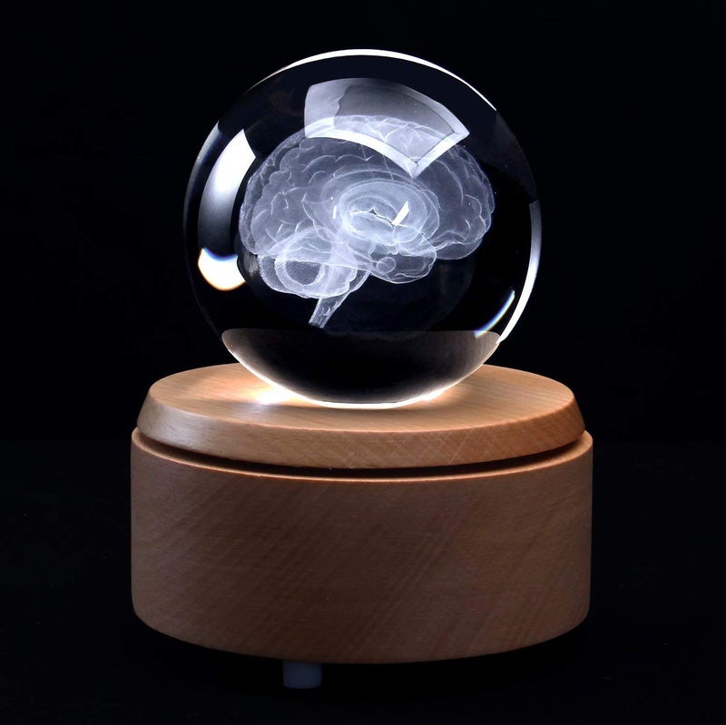 XINDAM 3D Human Brain Anatomical Model PaperweightLaser Etched in Crystal Glass Ball Science Gift Included LED Base - Image 2