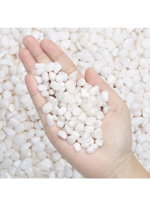 2.2 LBS (1 KG) Natural Polished Decorative White Pebbles - Small Stones 3/8" Gravel Size for Plants Home DIY Decor Aquarium Gravel Vase Fillers Fairy Garden Landscaping Outdoor Stone