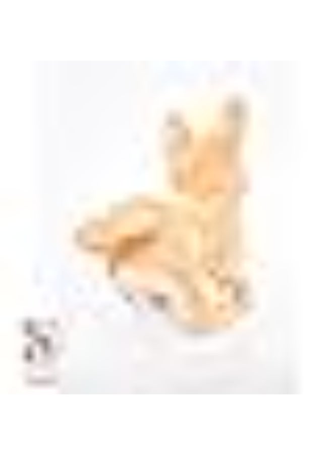 PUGS AT PLAY كلب ديكسي القابل للتقليب - Image 4