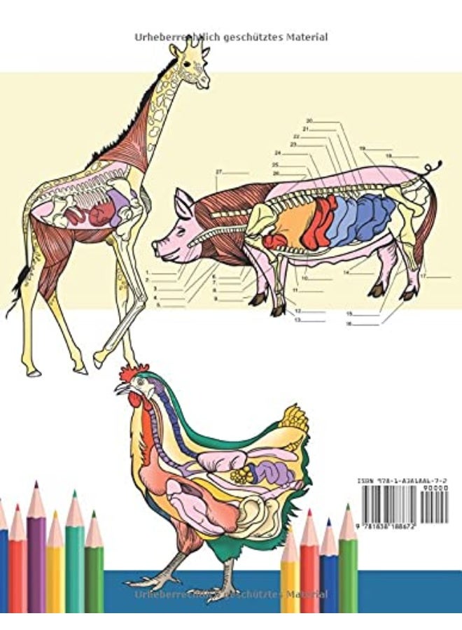 Malbuch für Veterinär-Anatomie: Tierphysiologie-Selbstquiz Arbeitsbuch zum Lernen und Entspannen | Perfektes Geschenk für Tiermedizin-Studenten und sogar Erwachsene