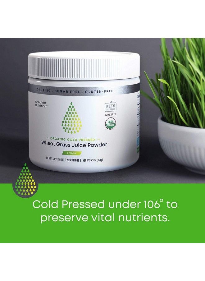 Adapted Nutrition - Organic Wheatgrass Juice Powder With Kamut ; 75 Servings ; Chlorophyll & Trace Minerals ; No Maltodextrin & Sugar ; Delicious Lemon Flavor - Image 1