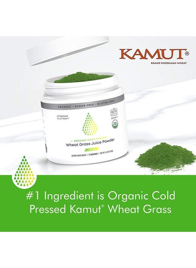 Adapted Nutrition - Organic Wheatgrass Juice Powder With Kamut ; 75 Servings ; Chlorophyll & Trace Minerals ; No Maltodextrin & Sugar ; Delicious Lemon Flavor - Image 1