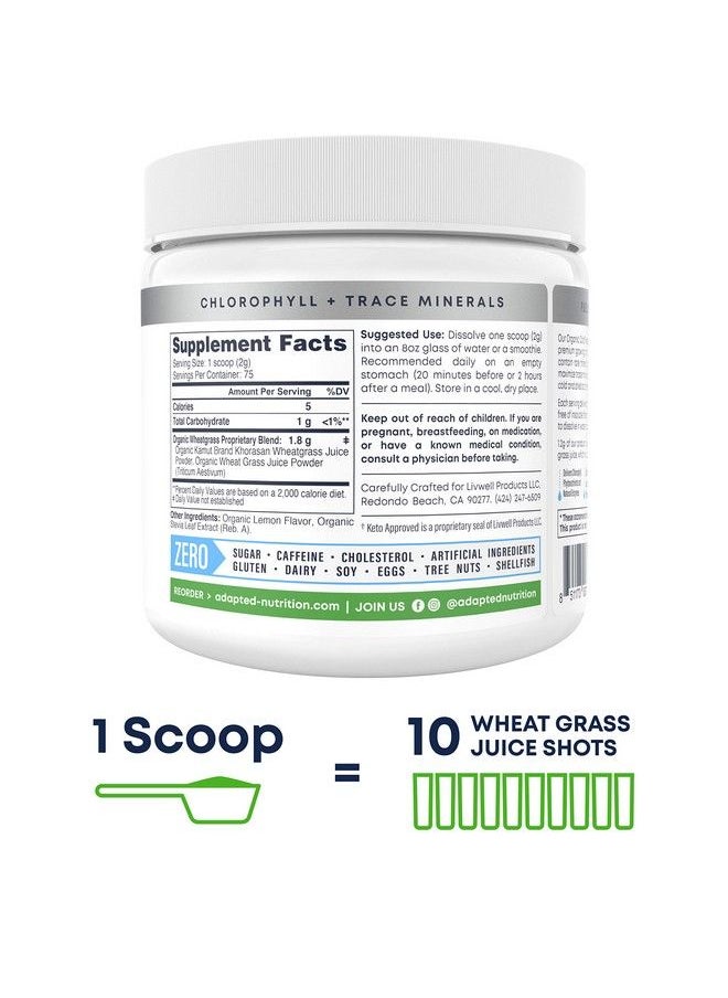 Adapted Nutrition - Organic Wheatgrass Juice Powder With Kamut ; 75 Servings ; Chlorophyll & Trace Minerals ; No Maltodextrin & Sugar ; Delicious Lemon Flavor - Image 1