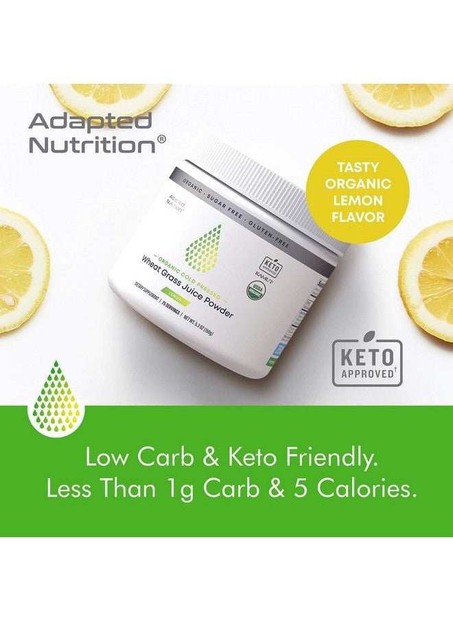 Adapted Nutrition - Organic Wheatgrass Juice Powder With Kamut ; 75 Servings ; Chlorophyll & Trace Minerals ; No Maltodextrin & Sugar ; Delicious Lemon Flavor - Image 1