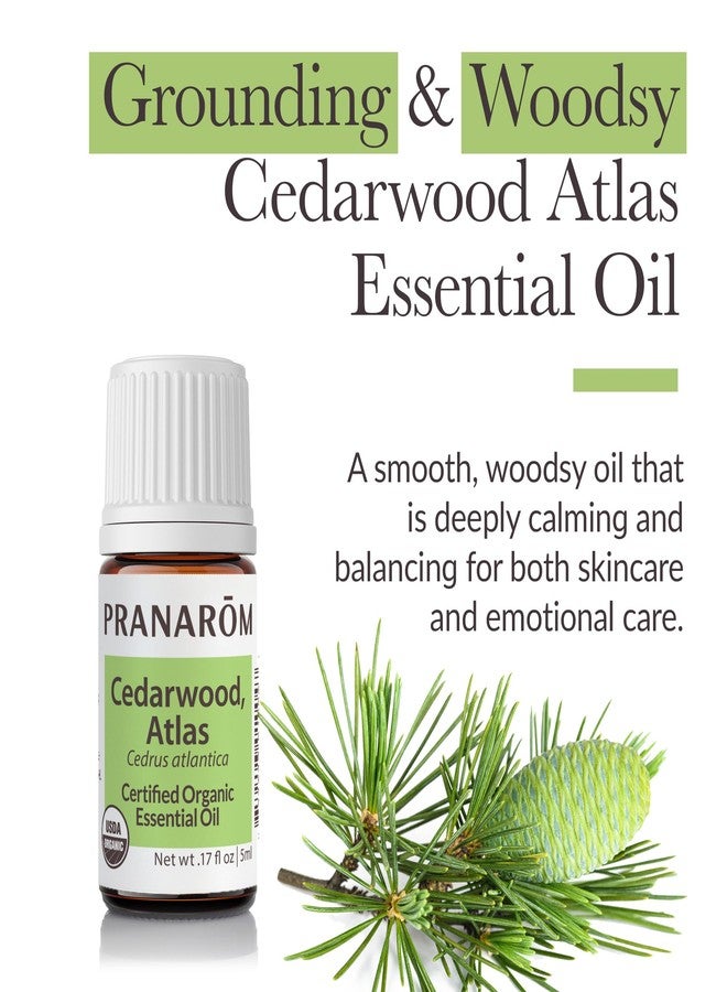 Pranarom - Cedarwood, Atlas Essential Oil 5ml - for Skincare Enthusiasts - Moisturizing Skin After Showering - Calming Woodsy Aroma - 100% Pure, Certified Organic - Image 2