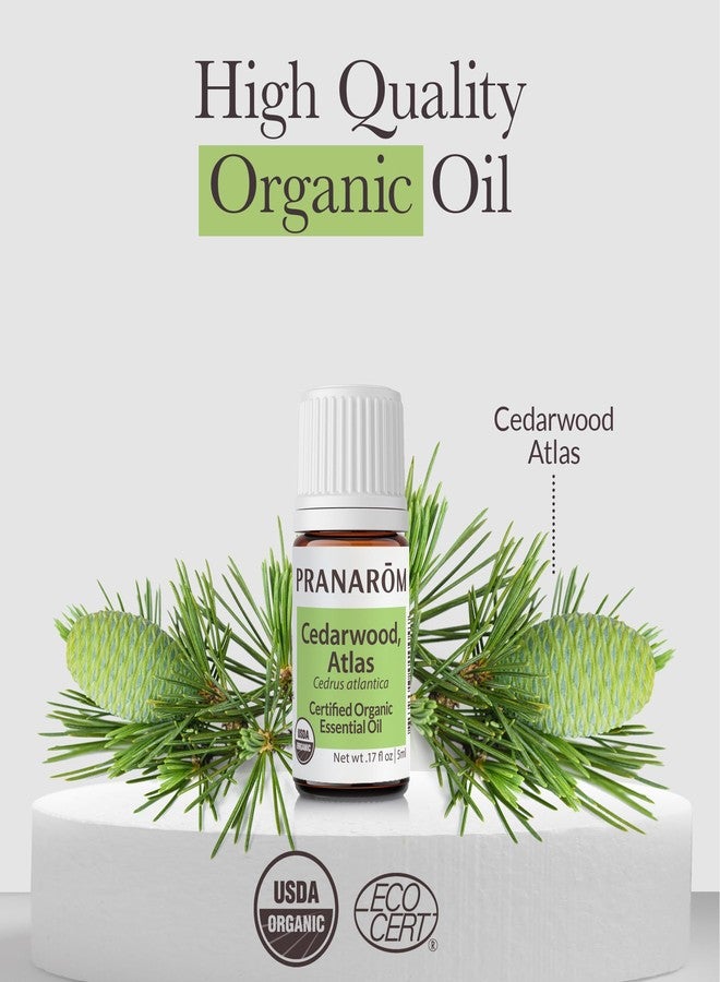 Pranarom - Cedarwood, Atlas Essential Oil 5ml - for Skincare Enthusiasts - Moisturizing Skin After Showering - Calming Woodsy Aroma - 100% Pure, Certified Organic - Image 3