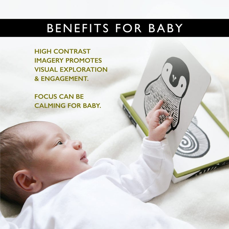 Wee Gallery Black and White Animal Art Cards for Babies, Durable High Contrast Vision Cards, Brain Development Educational Learning Tool for Newborn, Infant, Baby, Toddler - Woodland Animals - Image 5