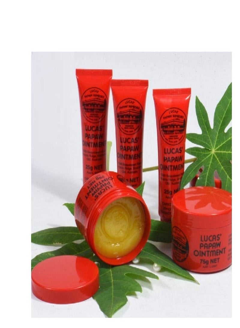 لوكاس دهان لوكاس بابايا 15 جرام في أنبوب مع تطبيق للشفاه - عبوة مزدوجة للقيمة من لوكاس للعلاجات - Image 5
