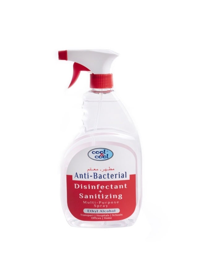Multi-Purpose Cleaner, Anti-Bacterial - 700ml, UAE