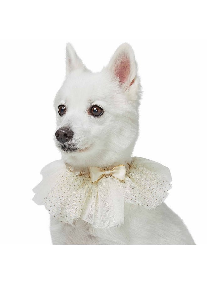 Blueberry Pet Dog of Honor Wedding Collar, Medium, Elastic Breakaway Quick Release Dog Cat Collar with Embroidered Mesh and Bowtie - pzsku/Z1570651AAF8D2C28F140Z/45/_/1737031747/ff0069e7-70b5-49d2-a567-d9c57855cd87