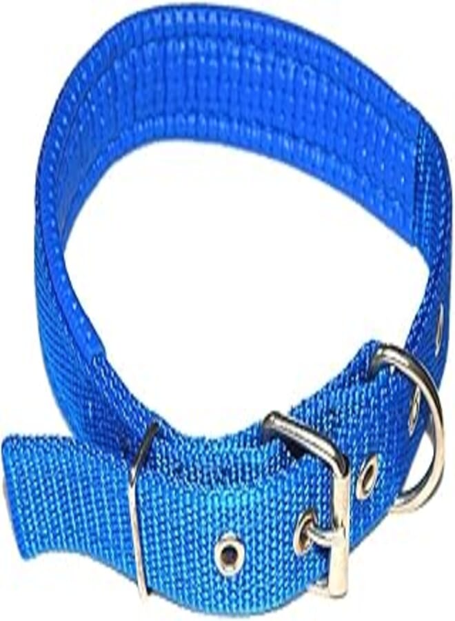 Nylon leather collar for dogs large
