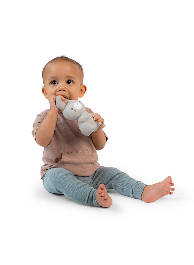 إنجنيونتي عضاضة إنجينيويتي سيلفي من المطاط الطبيعي، مقاس 5.75 بوصة، خالية من مادة BPA، للأطفال من عمر 3 أشهر فما فوق، متعددة الحواس - Image 1