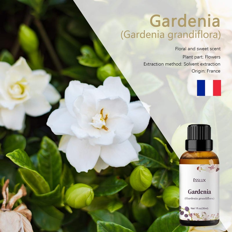 ESSLUX Gardenia Essential Oil Esslux Aromatherapy Essential Oils for Diffuser Massage Soap Candle Making Perfume 30 ml - Image 2