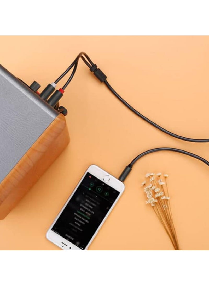 UGREEN 3.5mm Male to 2 RCA Male Audio Cable 3m (Gray) - Image 2