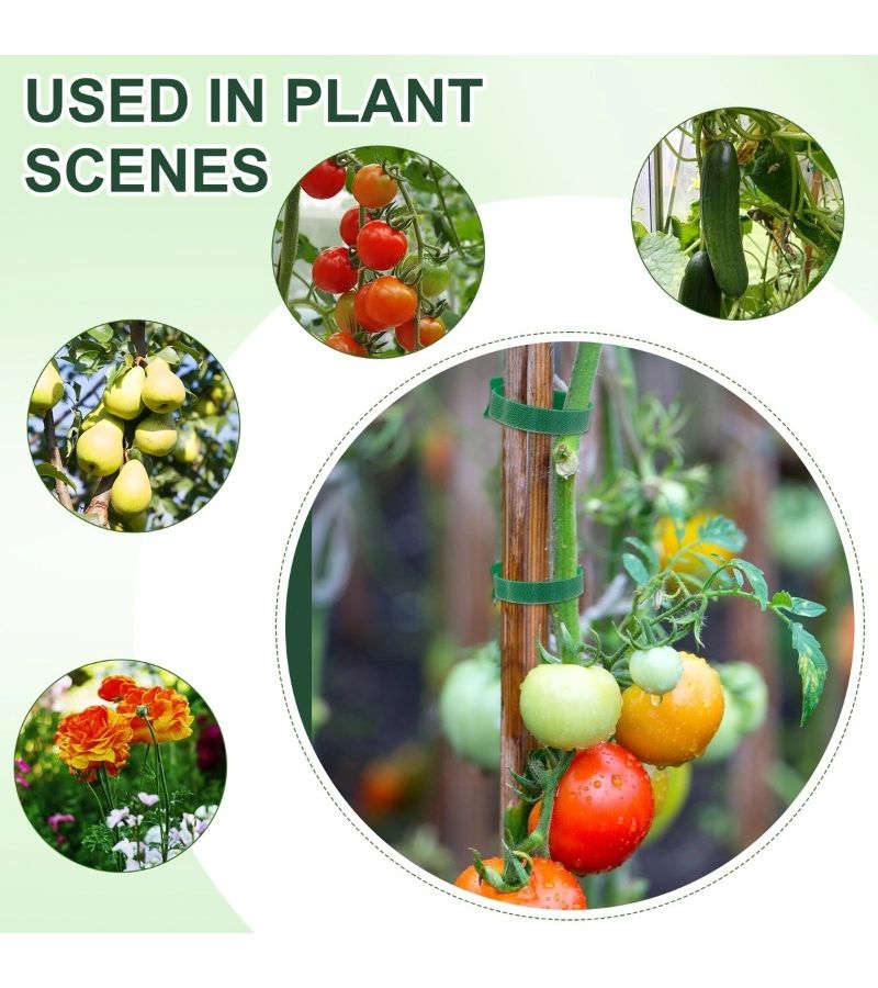 7 Pcs Green Reusable Adjustable Anti Slip Nylon Plant Fixing Ties Support Straps For Garden Climbing Vines Cable Management And Wreath Decoration - Image 5