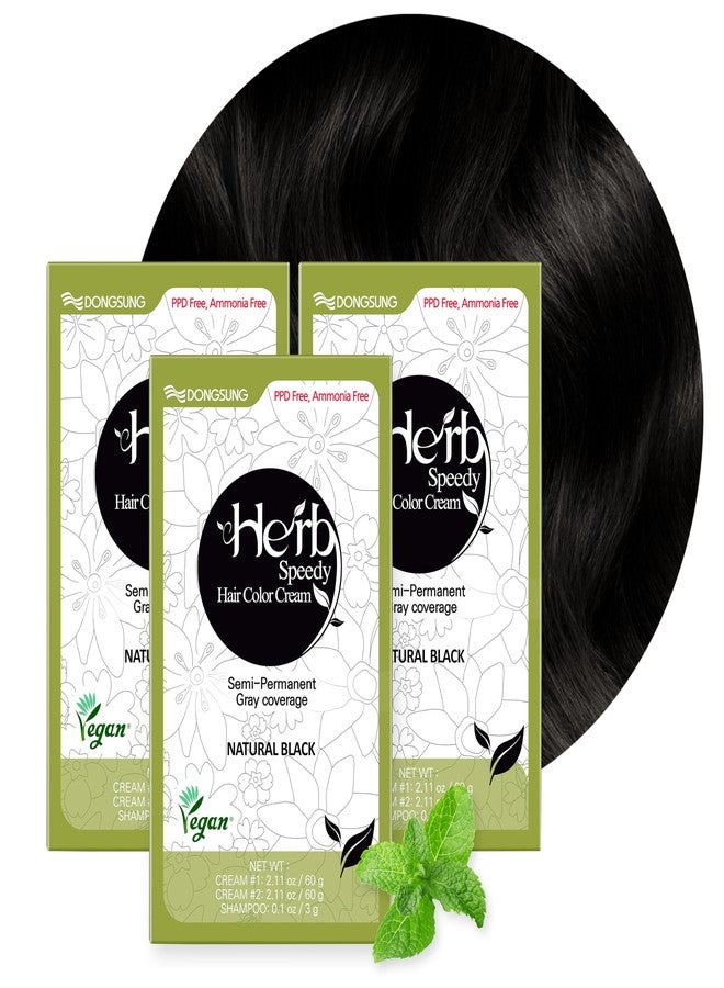 Herb Speedy Dongsung Herb Speedy Color Cream (Natural Black, 3 Pack), PPD-Free Ammonia-Free Vegan Gray Coverage Hair Dye with Sun Protection, Odorless, Gentle for Sensitive Scalp, No Eye or Scalp Irritation - Image 1