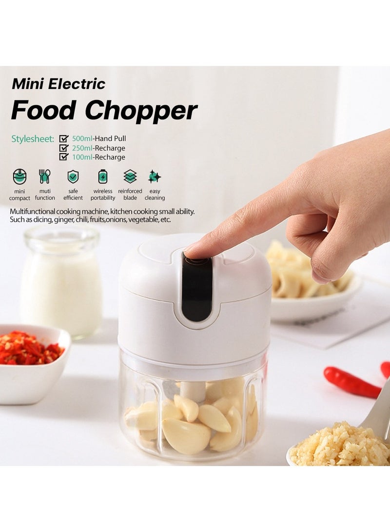 Electric Food Chopper Mini Chopper, Perfect for Garlic, Onion, Fruits, Vegetables, with 3 Stainless Steel Blades, 250ml  - Image 2