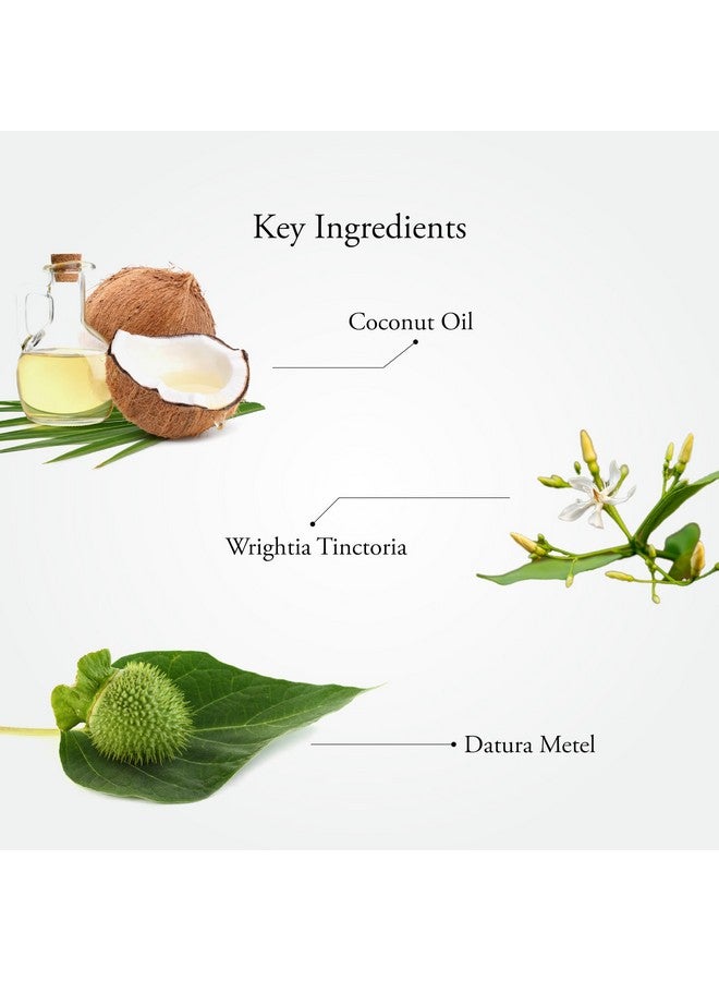 Sitaram Ayurveda Scurf Kerala Ayurvedic Herbal Oil for Hair 100ml, Cures Dandruff, Soothes Dry and Itchy Scalp, Stimulates and Cleanses Hair Follicles - Image 5