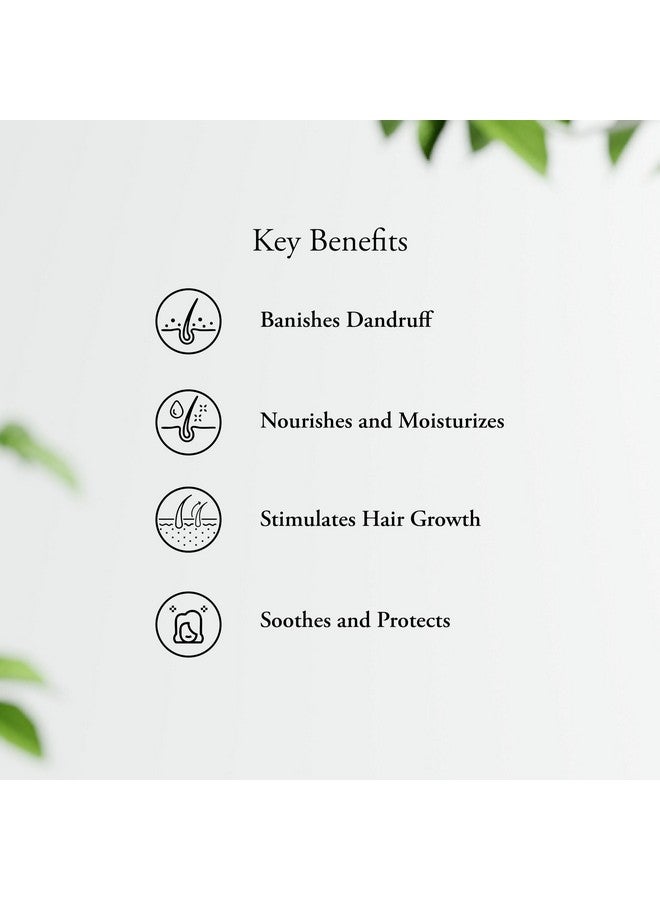 Sitaram Ayurveda Scurf Kerala Ayurvedic Herbal Oil for Hair 100ml, Cures Dandruff, Soothes Dry and Itchy Scalp, Stimulates and Cleanses Hair Follicles - Image 4