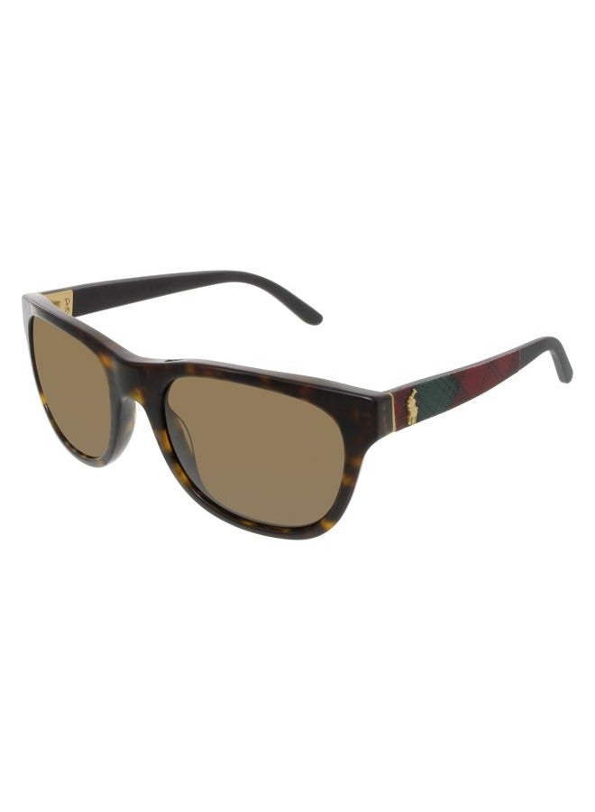 رالف لورين نظارة شمسية مربعة كاملة الحواف للرجال - PH4091 5502/73 - مقاس العدسة: 55 ملم - أسود هافانا ترتان داكن - Image 1