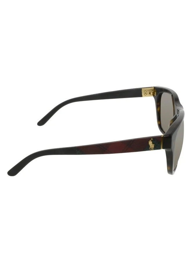 رالف لورين نظارة شمسية مربعة كاملة الحواف للرجال - PH4091 5502/73 - مقاس العدسة: 55 ملم - أسود هافانا ترتان داكن - Image 2