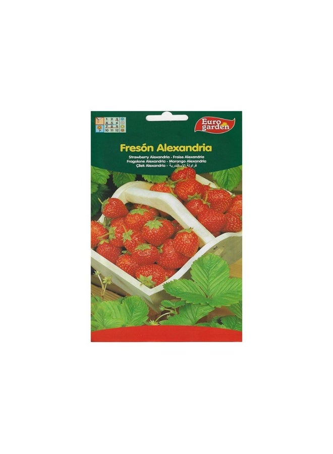 Euro Garden EG Strawberry seeds 