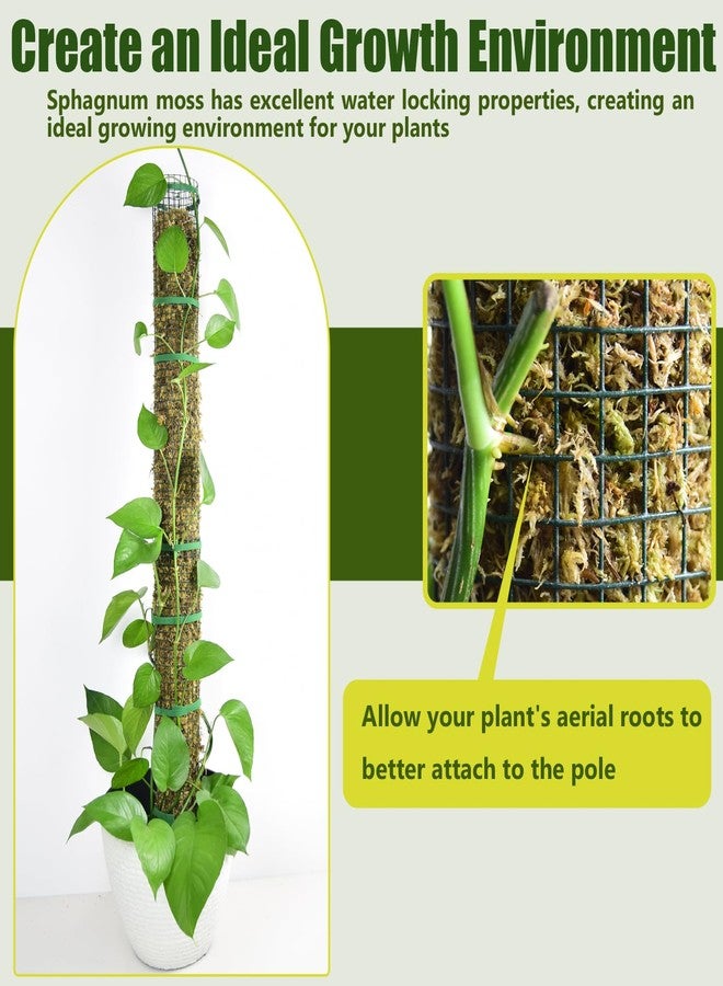 HOLANHING 4 Pack Metal Moss Pole, 40" Moss Poles for Plants Monstera, Stackable Sphagnum Moss Pole for Plants Work with Sphagnum Moss(4 Pack 40") - Image 4
