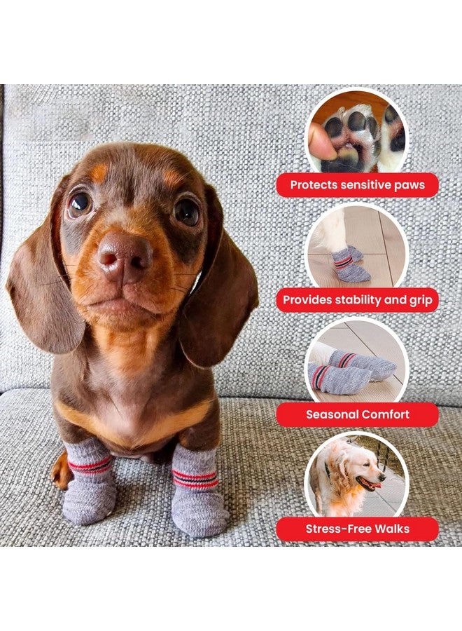 تريكسي جوارب مضادة للانزلاق للكلاب، واقي مخالب، يحمي من الجروح الصغيرة، والأرضيات الباردة والأثاث المترب، رمادي (قد يختلف اللون)، 4 قطع (Xxs-Xs) - Image 4