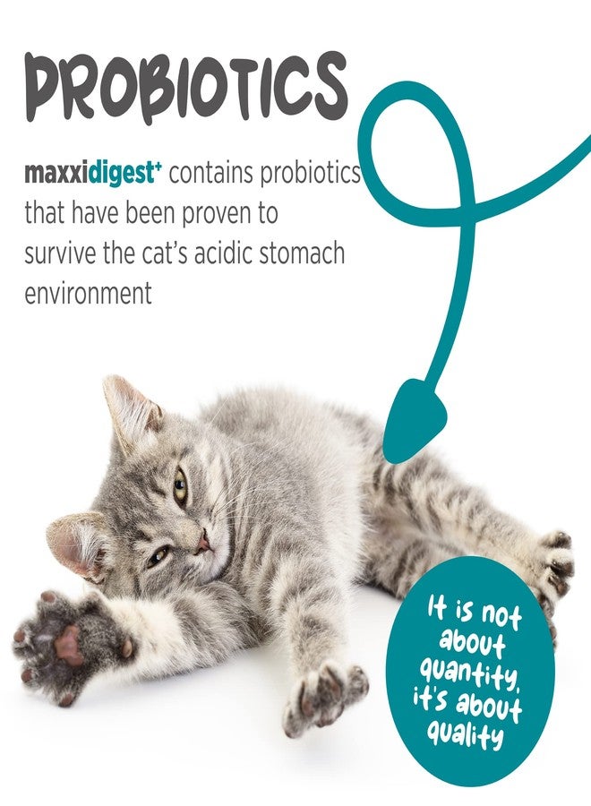 maxxipaws ماكسيبوز ماكسيديجست+ بريبيوتيك وبروبيوتيك للقطط 3.2 أونصة | مسحوق بروبيوتيك للقطط مع إنزيمات هضمية متطورة لصحة الأمعاء والمناعة | يدعم الهضم، وحساسية الطعام، وحكة الجلد - Image 3