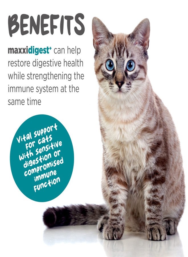 maxxipaws ماكسيبوز ماكسيديجست+ بريبيوتيك وبروبيوتيك للقطط 3.2 أونصة | مسحوق بروبيوتيك للقطط مع إنزيمات هضمية متطورة لصحة الأمعاء والمناعة | يدعم الهضم، وحساسية الطعام، وحكة الجلد - Image 2