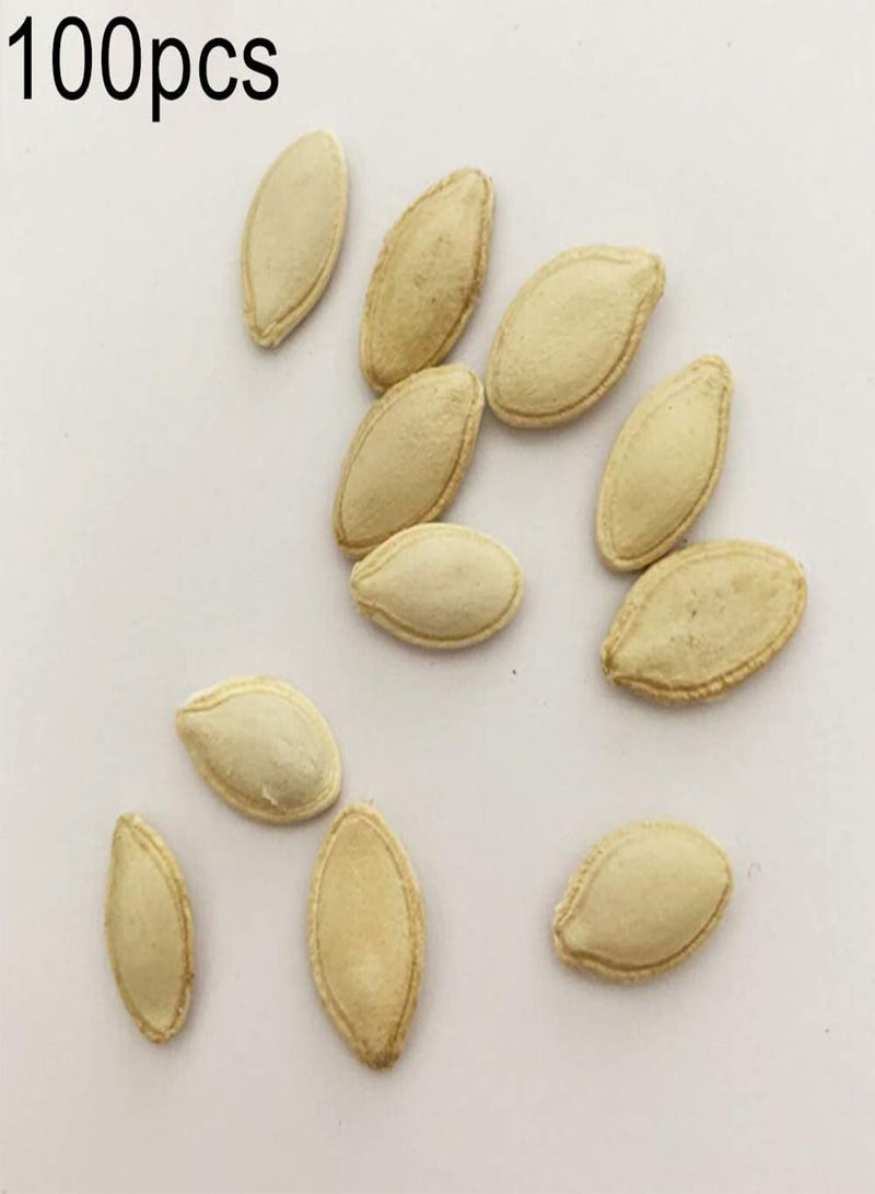 GGOOT 100Pcs Sweet Butternut Squash Seeds,Nutritious Vegetable Garden Farm Yard Plant for Planting Garden Yard Outdoor 1 Butternut Squash Seeds - Image 2