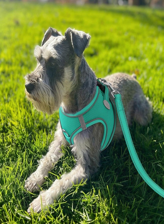 Joytale Small Dog Harness, Breathable Mesh Step-in Vest, Reflective Soft Padded Harnesses for Cats and Puppies Dogs, Teal, XXXS - Image 2
