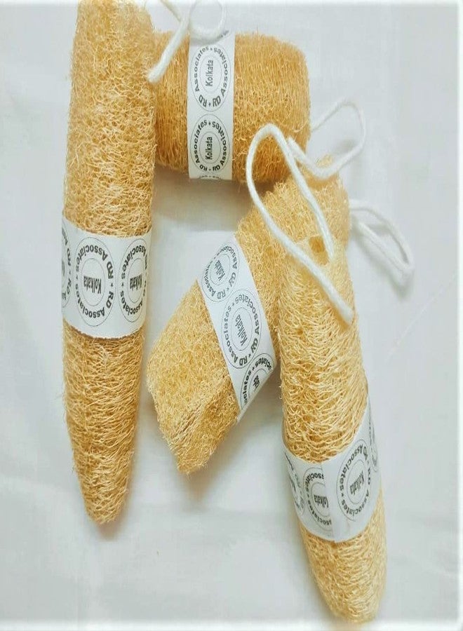 rdassociates ® Natural Loofah Bath Sponge - 4pcs Body Scrubbers | Reusable | holding Loofah for women men kids (pack of 4) - Image 3
