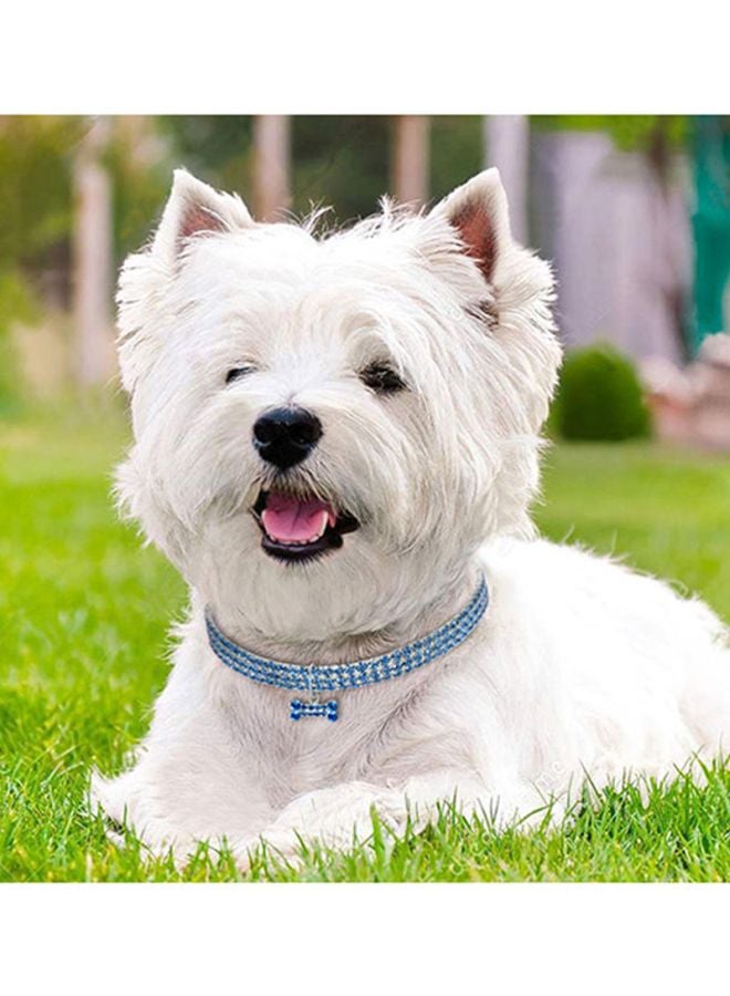 إسكدنيا طوق صغير للقطط مزود بعظمة معلقة أزرق 20x5Ø³Ù†ØªÙŠÙ…ØªØ± - Image 3