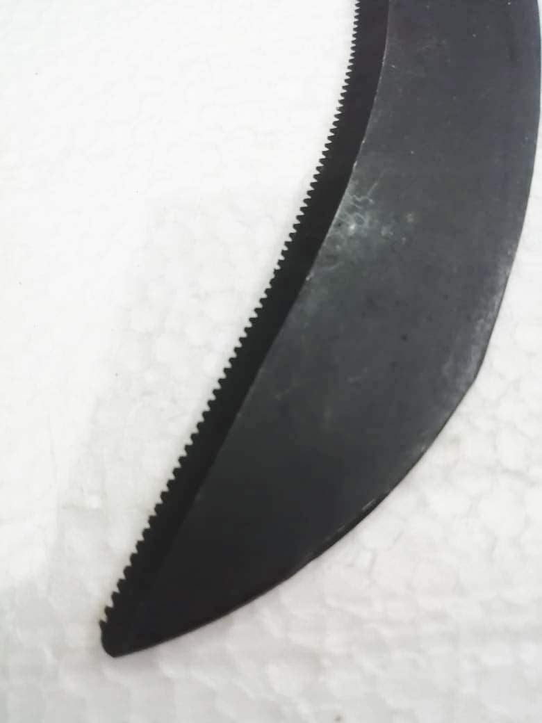 FTE Paddy Cutting Curved Saw with Sharp Teeth and Wooden Handle for Gardening and Agriculture Purpose 36 cm 14 inch - Image 4