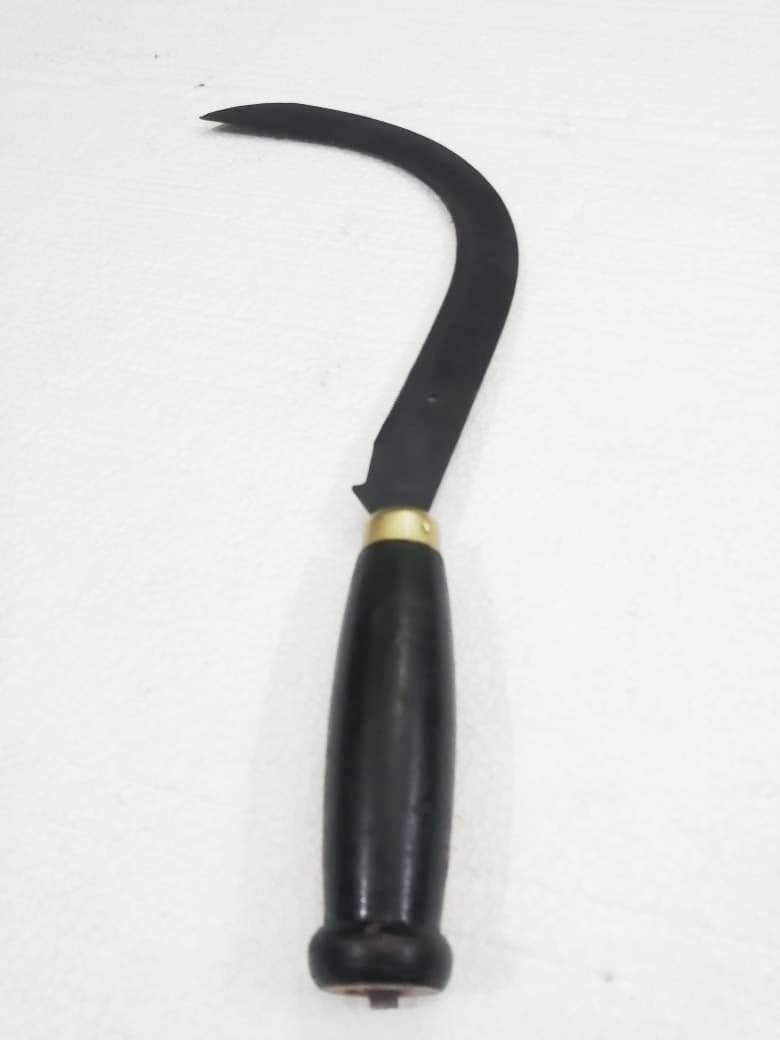 FTE Paddy Cutting Curved Saw with Sharp Teeth and Wooden Handle for Gardening and Agriculture Purpose 36 cm 14 inch - Image 2