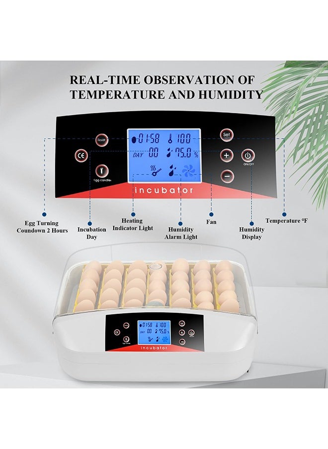 Sakulight - 56 Incubators for Hatching Eggs with Automatic Egg Turning and Automatic Temperature Control, Egg Incubator with ℉ Display for Chicken, Duck, Quail and Goose - Image 1