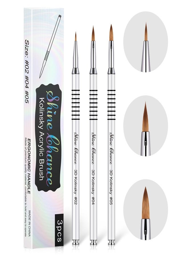 Shine Chance 3Pcs 3D Nail Brushes Set Size 2 4 5, Kolinsky Hair Acrylic Flower Nail Art Brush, Art Design & Polish Mistake Cleaning Manicure Tools for Women Acrylic Application, Silver - Image 1