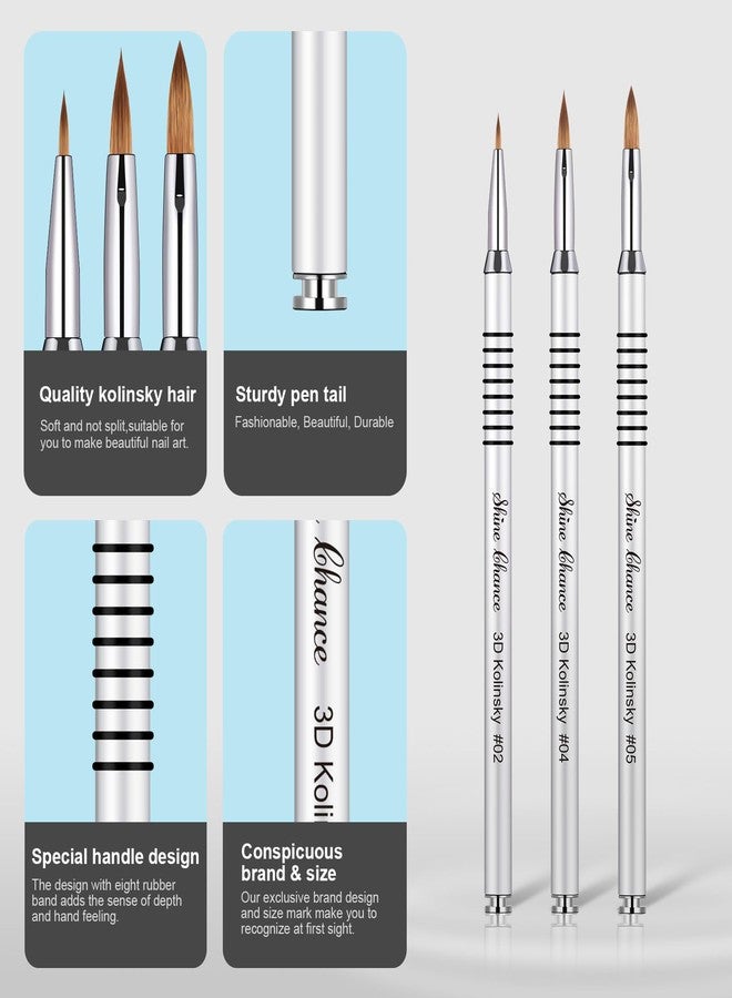 Shine Chance 3Pcs 3D Nail Brushes Set Size 2 4 5, Kolinsky Hair Acrylic Flower Nail Art Brush, Art Design & Polish Mistake Cleaning Manicure Tools for Women Acrylic Application, Silver - Image 4