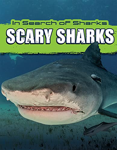 Scary Sharks 