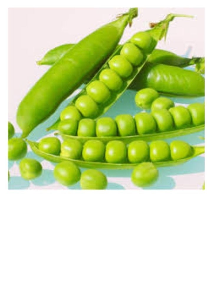 ڤسيل24 بذور البازلاء الخضراء - Image 1