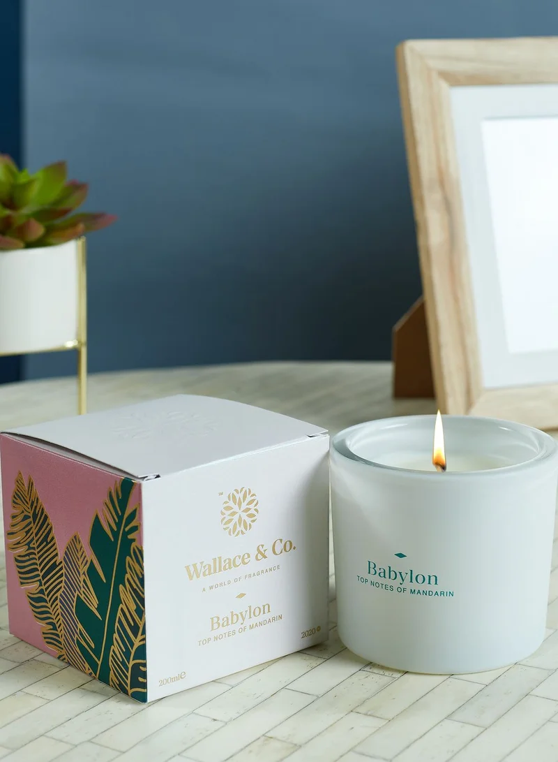 Wallace&Co Mandarin Babylon Scented Candle 200ml