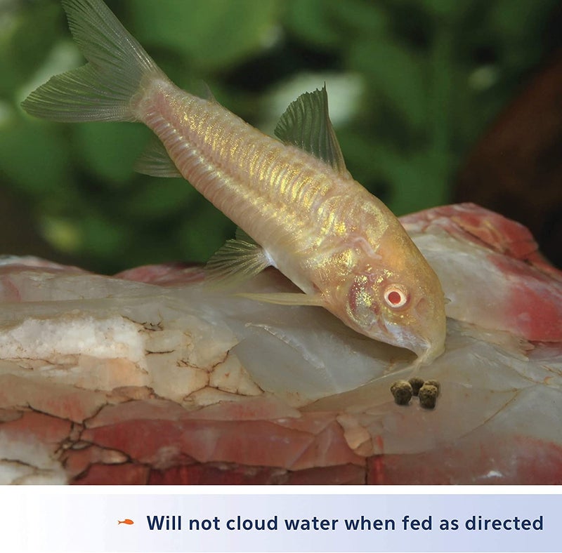 Aqueon Shrimp Pellets [Set of 2] Size: 6.5 Ounce - Image 4