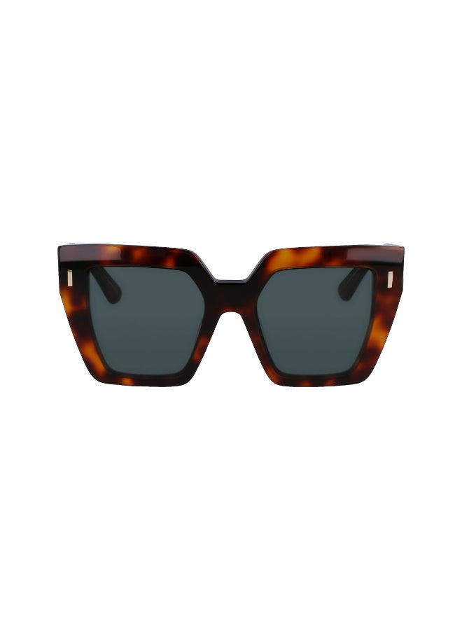 CALVIN KLEIN FULL RIM ACETATE CALVIN KLEIN SUN CK23502S - Image 1