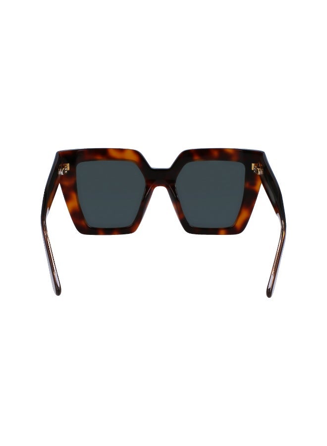 CALVIN KLEIN FULL RIM ACETATE CALVIN KLEIN SUN CK23502S - Image 4